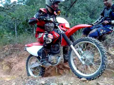 Honda CRF230 na trilha - Motonline